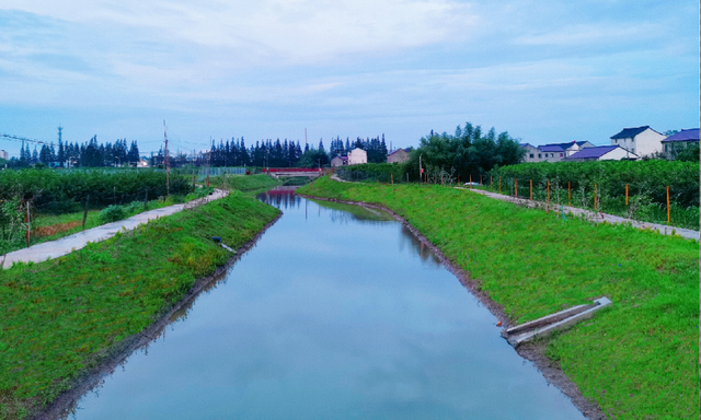地江集团