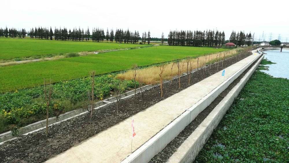 地江集团